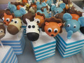cake pops 001