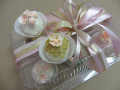 cake pops 011