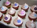 20120329 14h42 46s DDCC